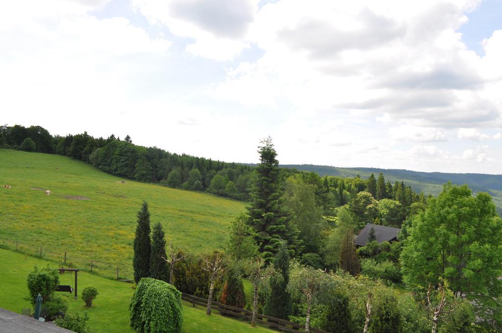 Landschafts-Gasthaus Brautigam-Hanses Schmallenberg Exteriér fotografie