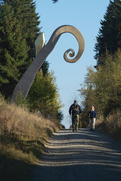 Landschafts-Gasthaus Brautigam-Hanses Schmallenberg Exteriér fotografie